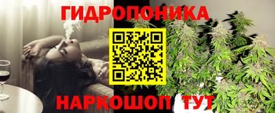 таблы Новокубанск